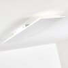 Antria LED Panel Weiß, 1-flammig, Fernbedienung, Farbwechsler