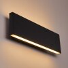 Obion Wandleuchte LED Anthrazit, 2-flammig