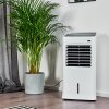 Scottsdale Standventilator Weiß, Fernbedienung