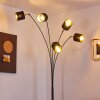 Alsen Bogenstehlampe Schwarz, 5-flammig